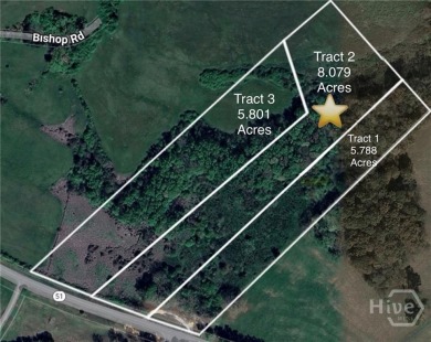 Lake Acreage For Sale in Homer, Georgia