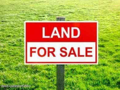 Pinetree Lake Lot For Sale in Long Pond Pennsylvania