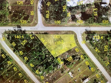 Peace River Lot For Sale in Punta Gorda Florida