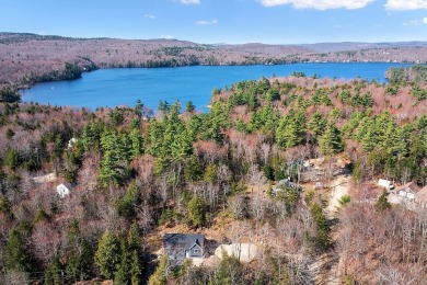 Ashuelot Pond Home For Sale in Washington New Hampshire
