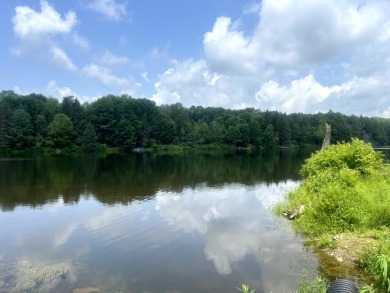 Lakefront Privacy on Beaver Meadow Lake - photo 6