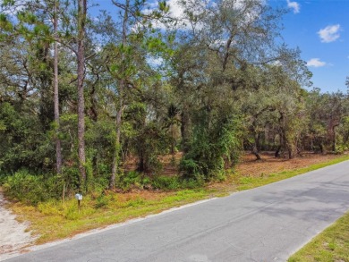 Lake Acreage For Sale in Dade City, Florida