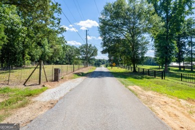 Lake Acreage For Sale in Lavonia, Georgia