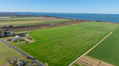 5+ acres of pristine waterfront along the beach of Long Island - photo 13