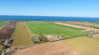 5+ acres of pristine waterfront along the beach of Long Island - photo 15