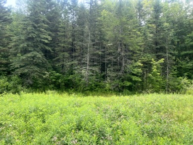 Lakefront Privacy on Beaver Meadow Lake - photo 8