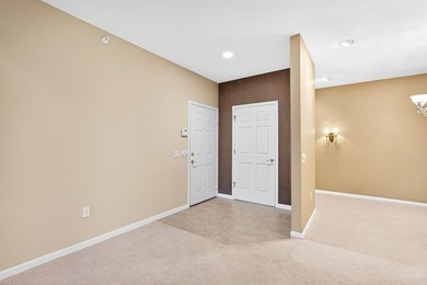 Beautiful luxury condominium home in East Madison's sought after - photo 31