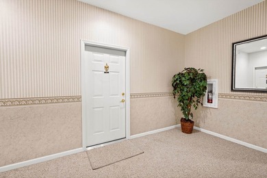 Beautiful luxury condominium home in East Madison's sought after - photo 32