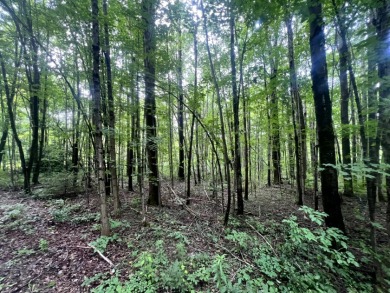 Lakefront Privacy on Beaver Meadow Lake - photo 20