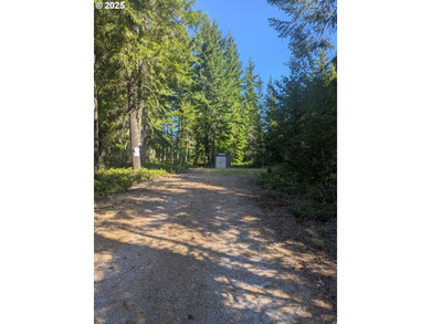 Discover your perfect forest vacation getaway! Nestled on 0.66 - photo 2