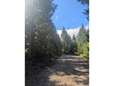 Discover your perfect forest vacation getaway! Nestled on 0.66 - photo 4