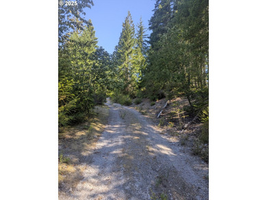 Discover your perfect forest vacation getaway! Nestled on 0.66 - photo 5