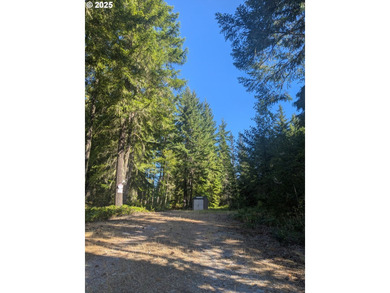 Discover your perfect forest vacation getaway! Nestled on 0.66 - photo 6
