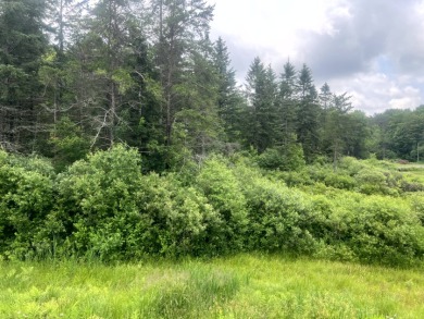 Lakefront Privacy on Beaver Meadow Lake - photo 10