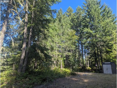 Discover your perfect forest vacation getaway! Nestled on 0.66 - photo 7