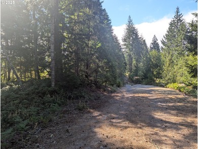 Discover your perfect forest vacation getaway! Nestled on 0.66 - photo 8
