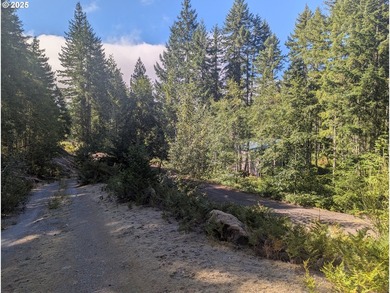 Discover your perfect forest vacation getaway! Nestled on 0.66 - photo 10