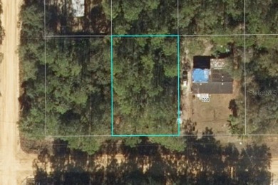 Lake Ida - Putnam County Lot For Sale in Interlachen Florida