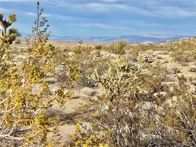This 0.74 acre lot has a great location right on the main street - photo 6