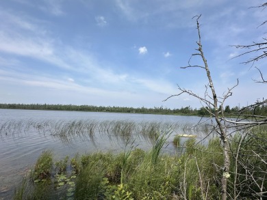 Lake Lot For Sale in Millersburg, Michigan