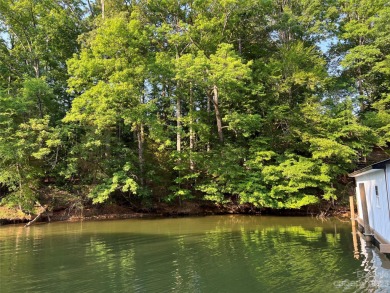Lake Wylie Lot For Sale in Belmont North Carolina