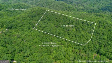 Lake Lot For Sale in Lakemont, Georgia