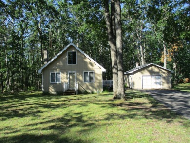 Lake Home ActiveUnderContr in Lewiston, Michigan