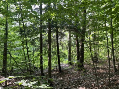 Lake Acreage For Sale in Kalkaska, Michigan