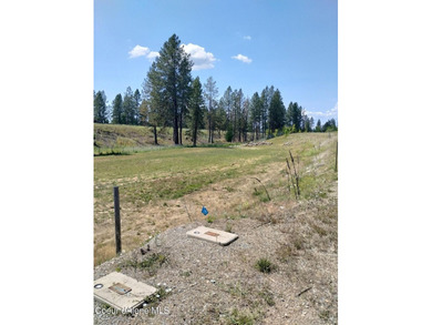 This Great Location is just off Sherman Ave and close to - photo 9