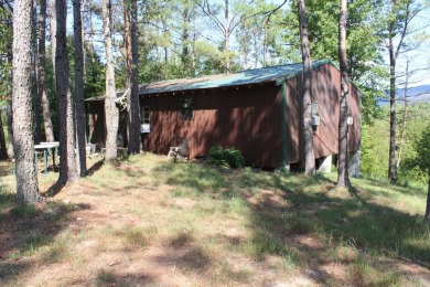 Lake Home For Sale in Langley, Arkansas