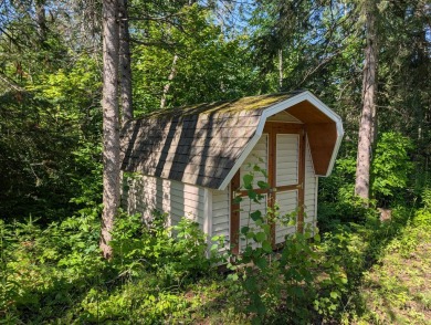 Lake Huron - Cheboygan County Lot For Sale in Cheboygan Michigan