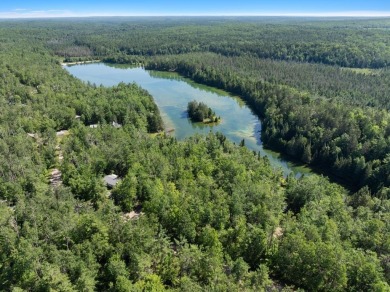 Lake Lot For Sale in Wolverine, Michigan