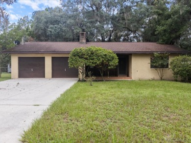 Lake Home For Sale in Dunnellon, Florida