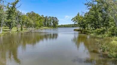 Lake life is calling! This beautiful corner, waterfront lot in - photo 11