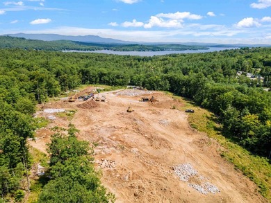 A Rare Investment Opportunity in the Heart of the Lakes Region! - photo 11