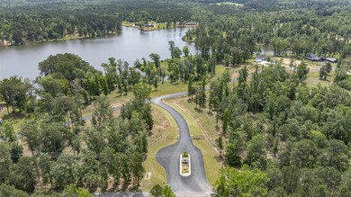 Lake life is calling! This beautiful corner, waterfront lot in - photo 19