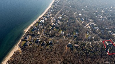 Set on approximately 0.47 acres in the Lion Head Beach - photo 34