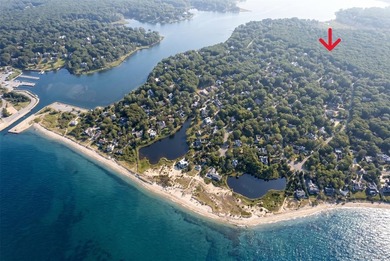 Set on approximately 0.47 acres in the Lion Head Beach - photo 35