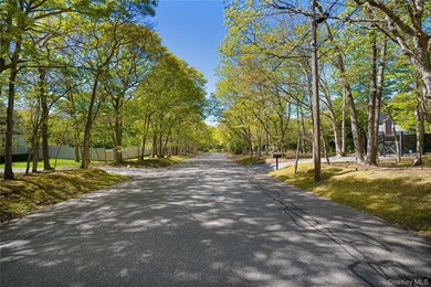 Set on approximately 0.47 acres in the Lion Head Beach - photo 36