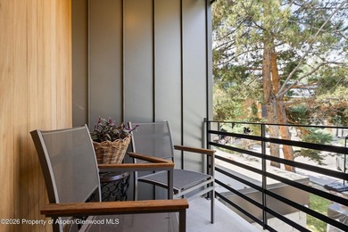 Discover ultimate luxury in this newly built home in Aspen's - photo 37