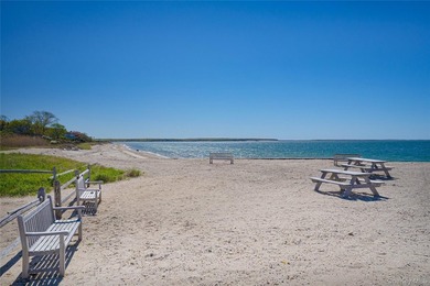 Set on approximately 0.47 acres in the Lion Head Beach - photo 41