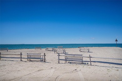 Set on approximately 0.47 acres in the Lion Head Beach - photo 42