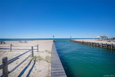Set on approximately 0.47 acres in the Lion Head Beach - photo 43
