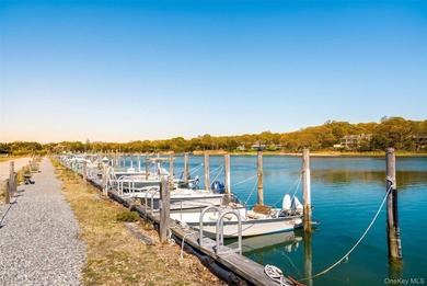 Set on approximately 0.47 acres in the Lion Head Beach - photo 44