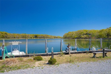 Set on approximately 0.47 acres in the Lion Head Beach - photo 45