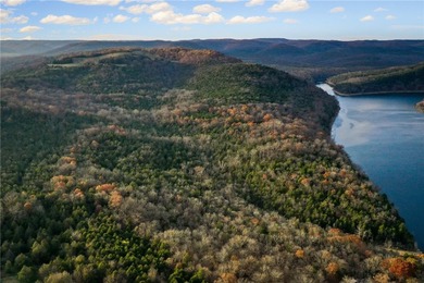 Once in a lifetime opportunity....457 acres of virtually - photo 8