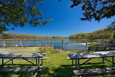 Set on approximately 0.47 acres in the Lion Head Beach - photo 46