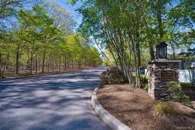 Set on approximately 0.47 acres in the Lion Head Beach - photo 47