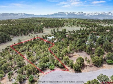 Mistalyn Kuzov, United Country Sneffels Realty, C:,,: Located - photo 1