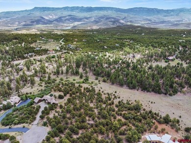Mistalyn Kuzov, United Country Sneffels Realty, C:,,: Located - photo 2